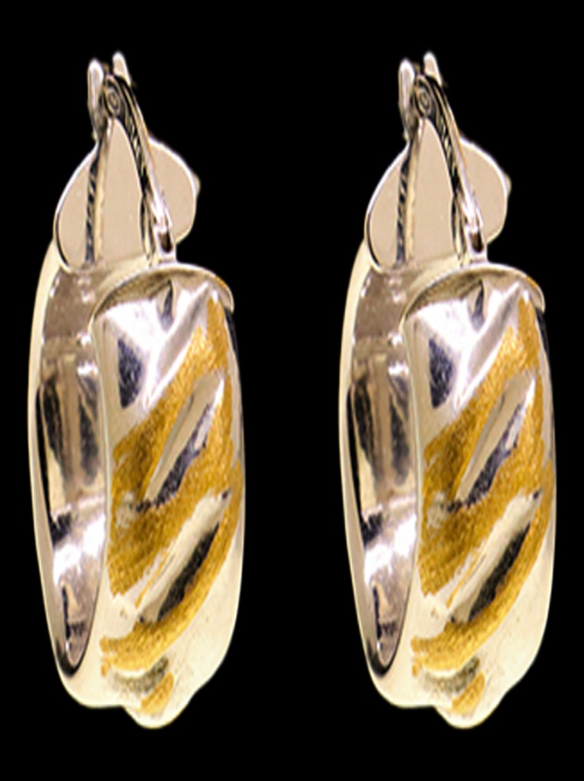 18K White Gold Earrings